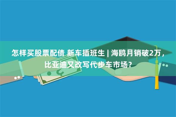 怎样买股票配债 新车插班生 | 海鸥月销破2万，比亚迪又改写代步车市场？