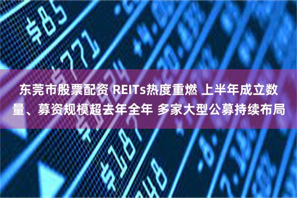 东莞市股票配资 REITs热度重燃 上半年成立数量、募资规模超去年全年 多家大型公募持续布局