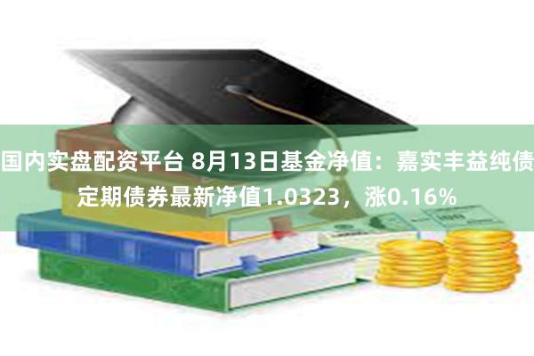 国内实盘配资平台 8月13日基金净值：嘉实丰益纯债定期债券最新净值1.0323，涨0.16%