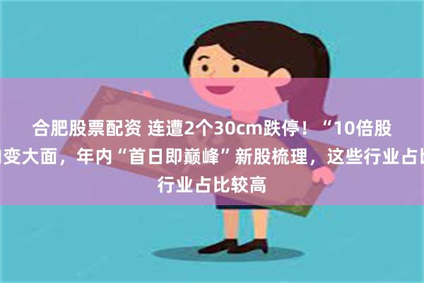 合肥股票配资 连遭2个30cm跌停！“10倍股”大肉变大面，年内“首日即巅峰”新股梳理，这些行业占比较高