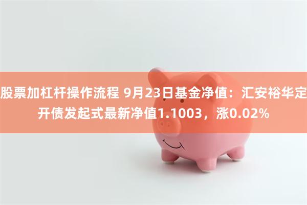 股票加杠杆操作流程 9月23日基金净值：汇安裕华定开债发起式最新净值1.1003，涨0.02%