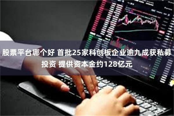 股票平台哪个好 首批25家科创板企业逾九成获私募投资 提供资本金约128亿元