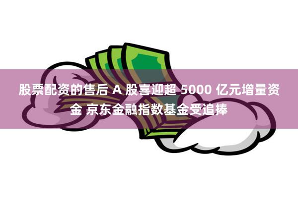 股票配资的售后 A 股喜迎超 5000 亿元增量资金 京东金融指数基金受追捧