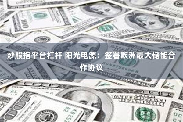 炒股指平台杠杆 阳光电源：签署欧洲最大储能合作协议